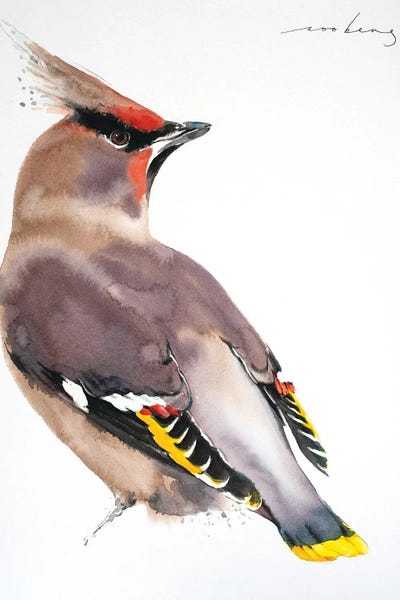 Seidenschwanz by Soo Beng Lim canvas print