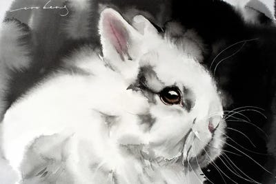 White Rabbit by Soo Beng Lim canvas print