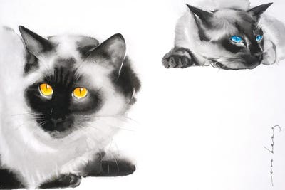 Cat Distancing by Soo Beng Lim art print