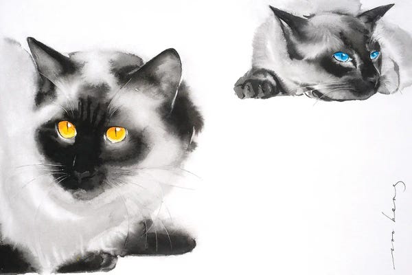 Siamese: Cat Distancing by Soo Beng Lim