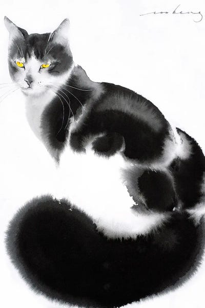 Black Cats: Plush Elegance by Soo Beng Lim