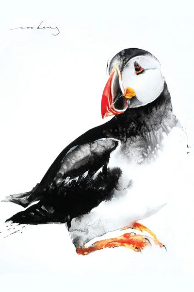Puffins: Time For Break by Soo Beng Lim
