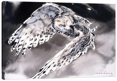 Snowy Owl II Canvas Art Print - Lakehouse Décor