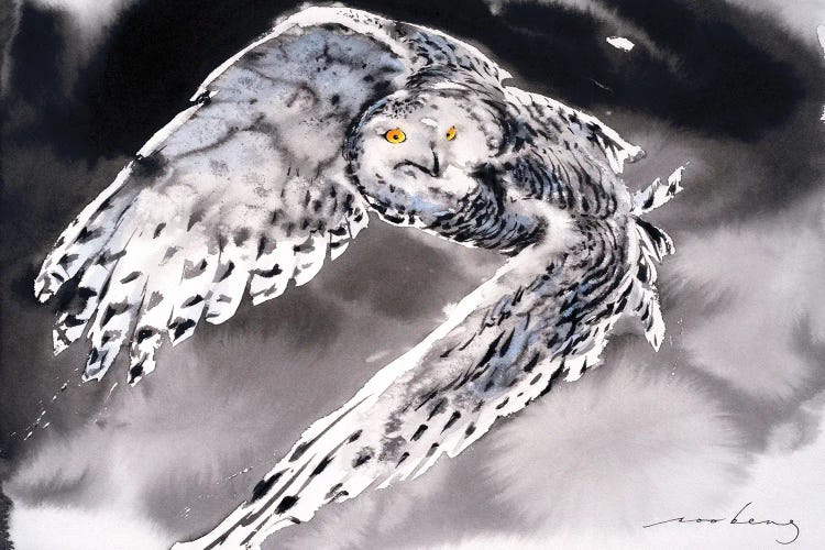 Snowy Owl II