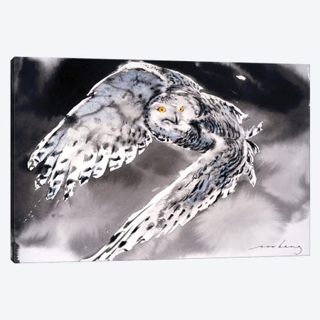 Snowy Owl II Canvas Print #LIM162} by Soo Beng Lim Art Print