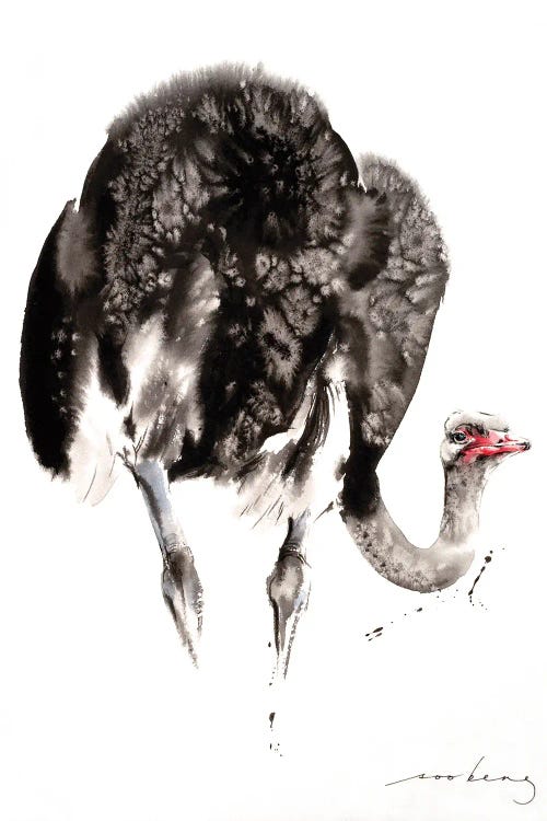 Ostrich