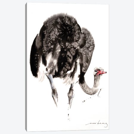 Ostrich Canvas Print #LIM163} by Soo Beng Lim Canvas Print