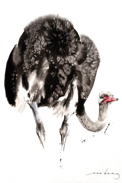 Ostriches: Ostrich by Soo Beng Lim
