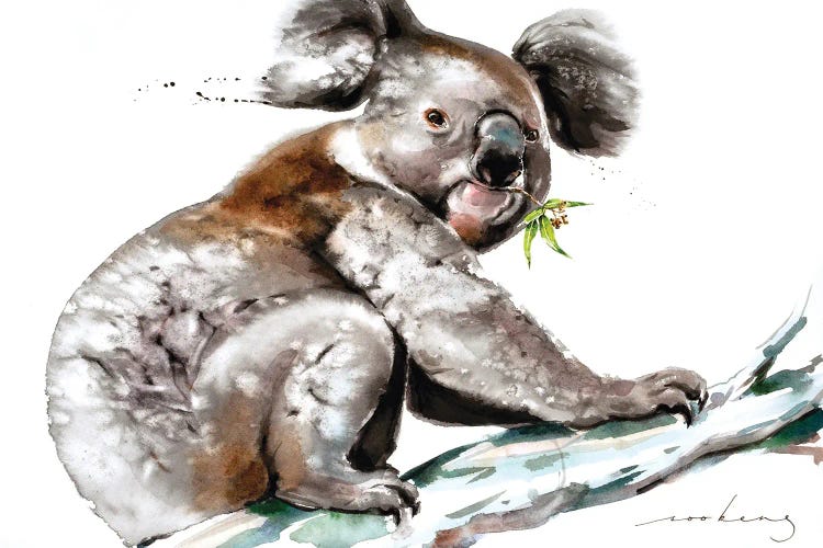 Koala Munch