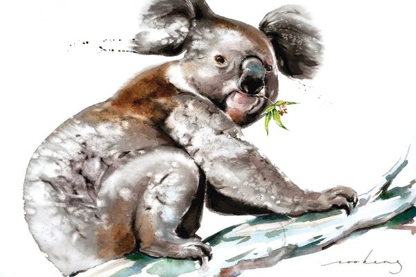 Koalas: Koala Munch by Soo Beng Lim