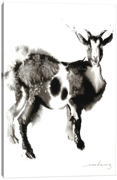 Goat Stance Canvas Art Print - Goat Art