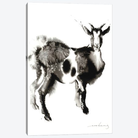 Goat Stance Canvas Print #LIM167} by Soo Beng Lim Canvas Art