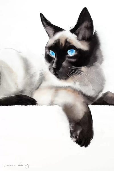 Soo Beng Lim: Cat Gaze by Soo Beng Lim