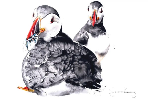 Puffins: Show Off by Soo Beng Lim