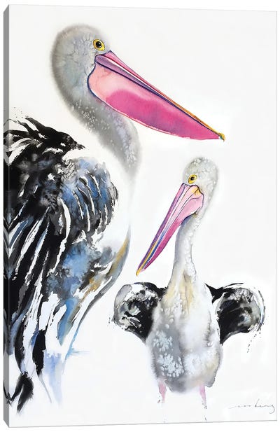 Pelican Majestic Canvas Art Print - Pelican Art