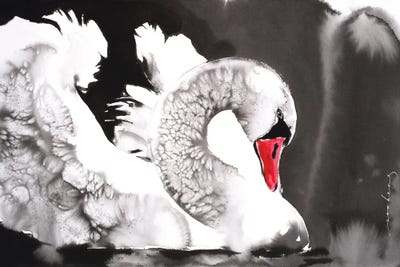 Swan Elegance by Soo Beng Lim metal wall art