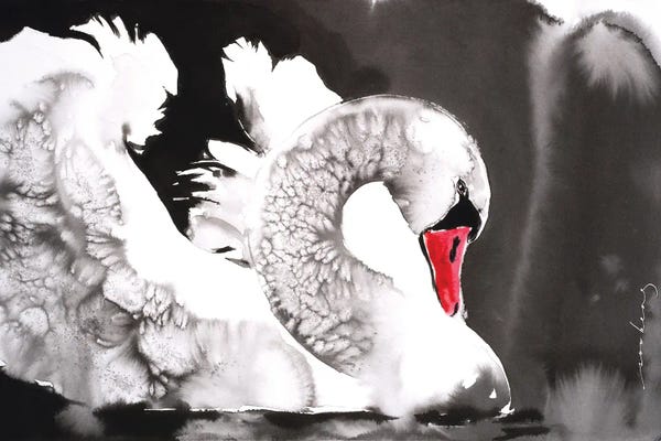 Soo Beng Lim: Swan Elegance by Soo Beng Lim