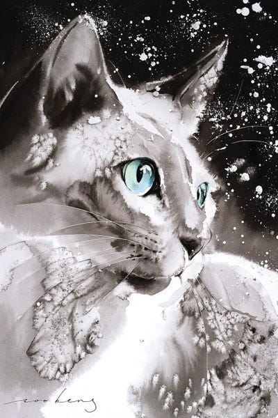 Snow: Cool Cat by Soo Beng Lim