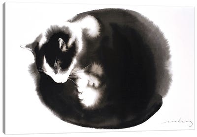 Kitty Ball Of Fur II Canvas Art Print - Soo Beng Lim