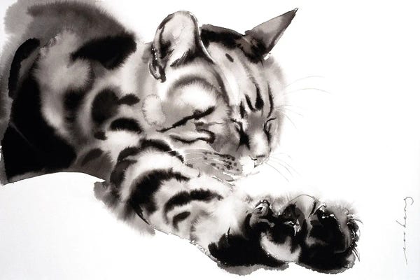 Tabbies: New Dawn by Soo Beng Lim