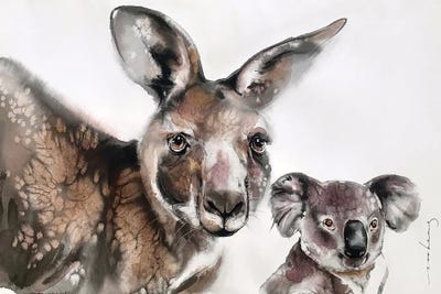 Kangaroos