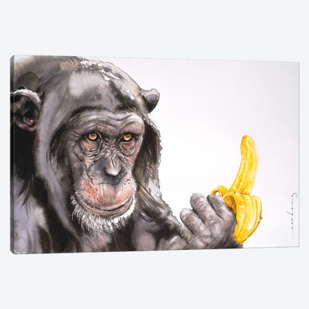 Banana Anyone? Canvas Print #LIM194} by Soo Beng Lim Canvas Print