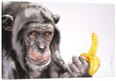 Banana Anyone? Canvas Art Print - Chimpanzee Art
