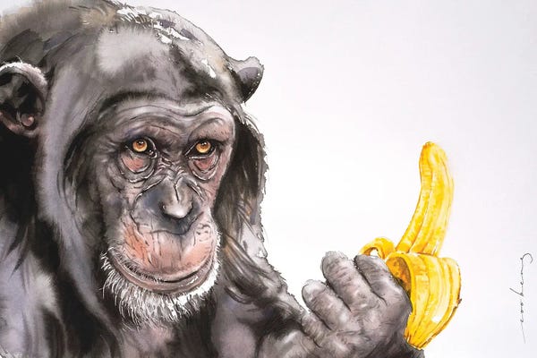 Soo Beng Lim: Banana Anyone? by Soo Beng Lim