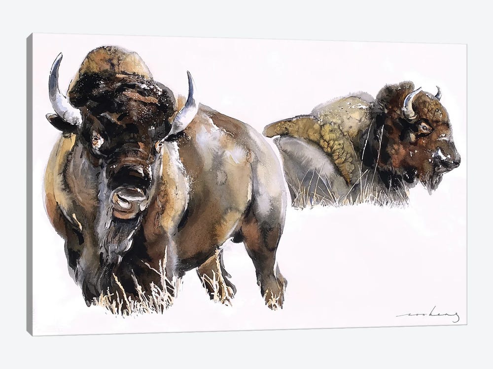 Bisons by Soo Beng Lim 1-piece Art Print