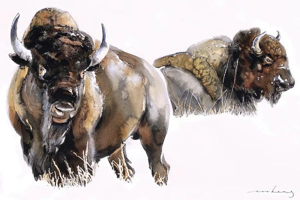 Bison & Buffaloes: Bisons by Soo Beng Lim