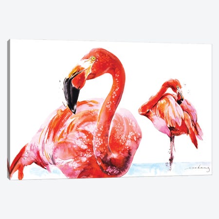 Flamenco Wader Canvas Print #LIM201} by Soo Beng Lim Canvas Art