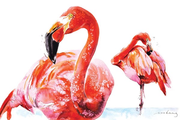 Soo Beng Lim: Flamenco Wader by Soo Beng Lim