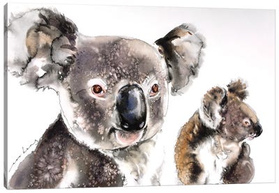 Koala Kinship Canvas Art Print - Koala Art