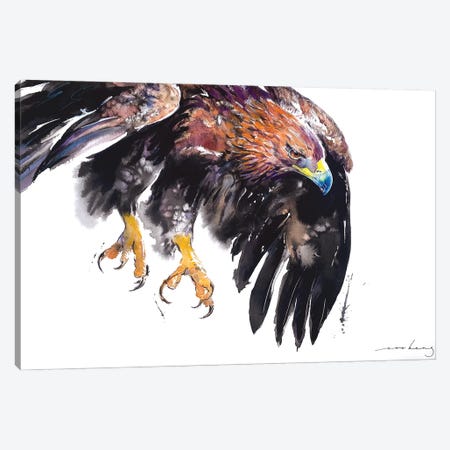 On Eagle Wing II Canvas Print #LIM213} by Soo Beng Lim Art Print