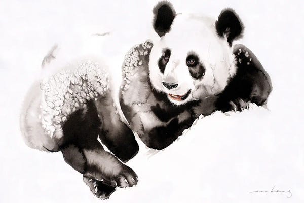 Pandas: Cosy Panda III by Soo Beng Lim