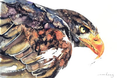 Eagle Dynamic by Soo Beng Lim framed wall art