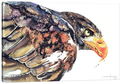Eagle Dynamic Canvas Art Print - Eagle Art