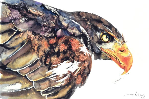 Native American Décor: Eagle Dynamic by Soo Beng Lim