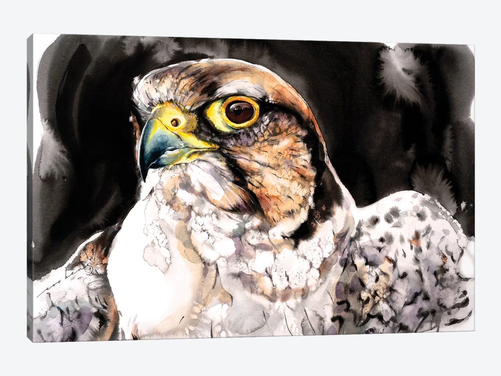 Falcon II by Soo Beng Lim 1-piece Art Print