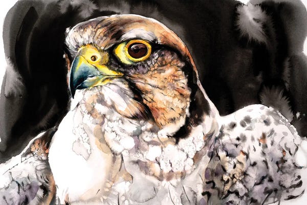 Soo Beng Lim: Falcon II by Soo Beng Lim