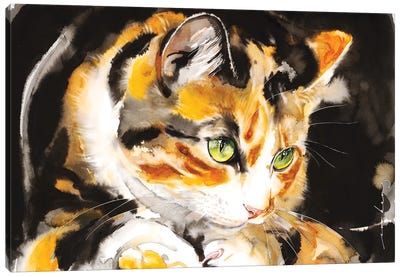 Kitty Honey Canvas Art Print - Calico Cat Art