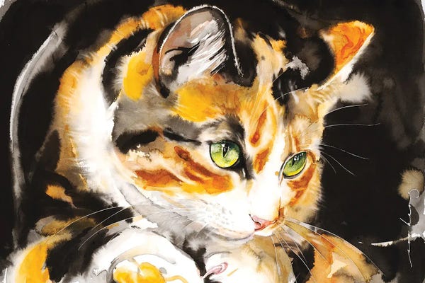 Soo Beng Lim: Kitty Honey by Soo Beng Lim