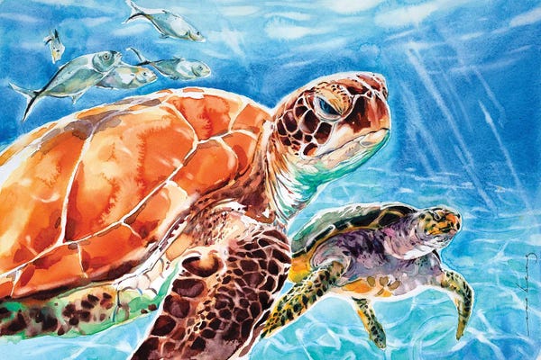 Turtles: Leatherback by Soo Beng Lim