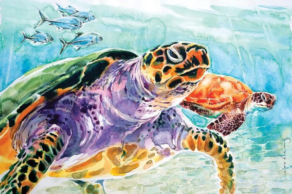 Turtles: Leatherback II by Soo Beng Lim