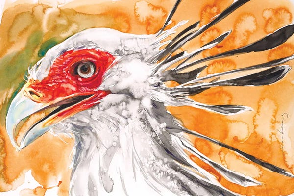 Soo Beng Lim: Secretary Bird. Photo courtesy of John Bishop by Soo Beng Lim