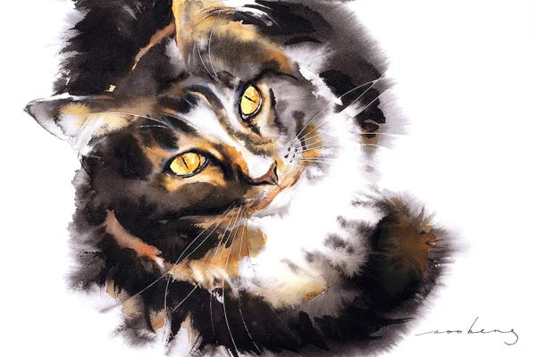 Soo Beng Lim: Cat in Wonder by Soo Beng Lim