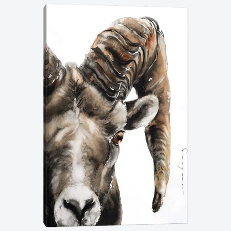 Stone Sheep Canvas Print #LIM250} by Soo Beng Lim Canvas Art Print
