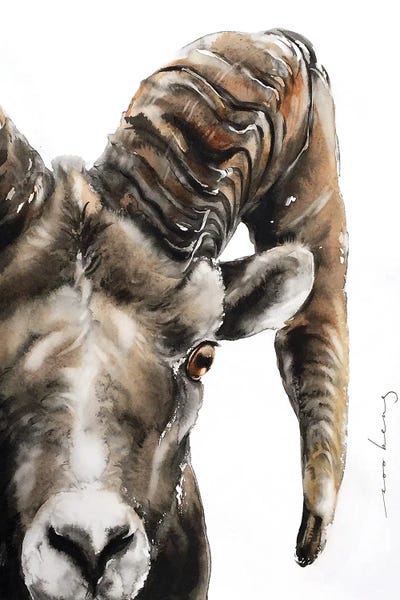 Rams: Stone Sheep by Soo Beng Lim