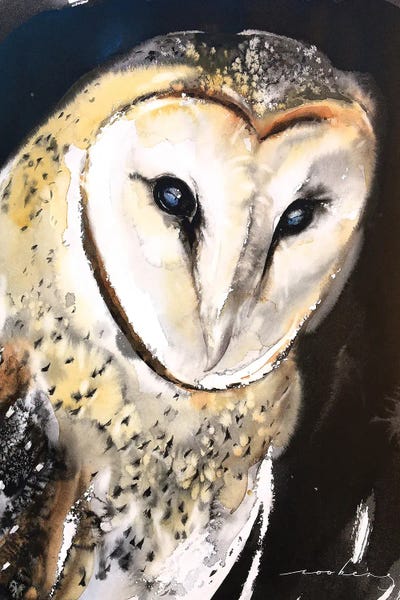 Barn Owl by Soo Beng Lim canvas print