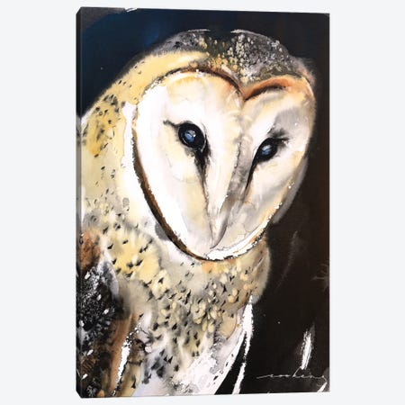 Barn Owl Canvas Print #LIM252} by Soo Beng Lim Art Print